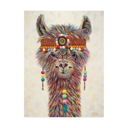 Carolee Vitaletti 'Hippie Llama Ii' Canvas Art,14x19